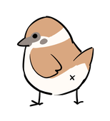 えんじゃく