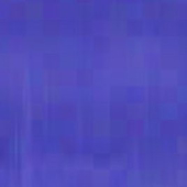 きのこ