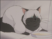 クリス
