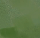 arou