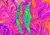 CerealEvader