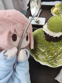 mao m