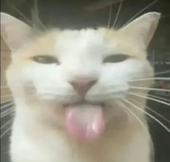 邪恶摇粒绒
