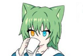 杉木_桉