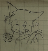 コーヒーザメ