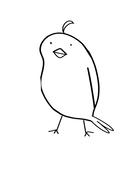 しろちどり