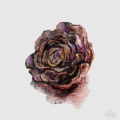 松芭