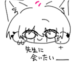 ぬこ