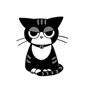 しゃきーか