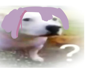 负端粒