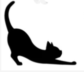 猫田にゃあ