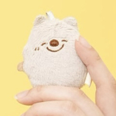圭