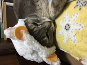 ちんくまん