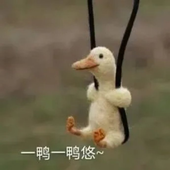 待有来日秋山海海
