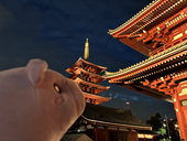 高野。