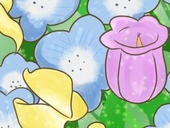 たけぽんず