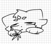 死体猫