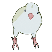 鳥野 画久