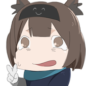 揚げ毛布