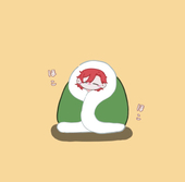朔佳