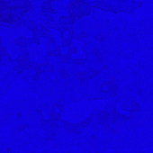 Illusion