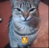 seinsxreunz