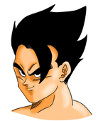 Goshi