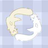 sasa