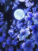 桜葉