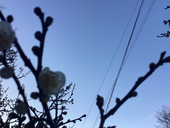 いざなり