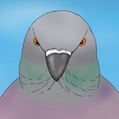 カワ、ゥ