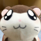 Kitsuyae塩