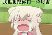霜见