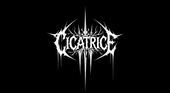 cicatrice