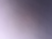 ｴﾋﾞﾁｬ