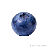 做dnf男角色补丁