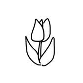 🌷