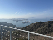 冬クラゲ(倭哥)