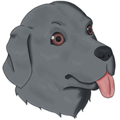 くろ犬