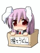 zumi