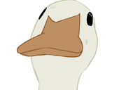 ccoaj22