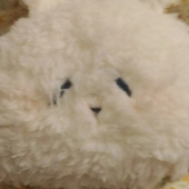 ういろ
