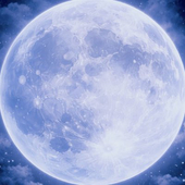 夜霧(やぎり)