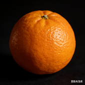 超拽柳丁hhh
