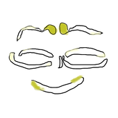 もやし