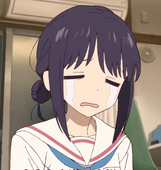 蓬蓬蓬