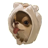 風情