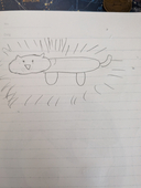 しーたろ