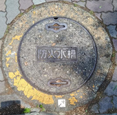 房花　水草