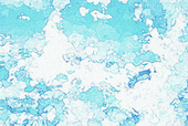 夏時｜kaji